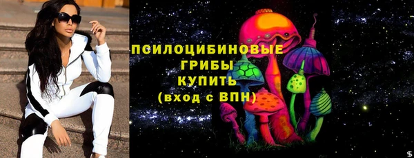 шишки Бронницы