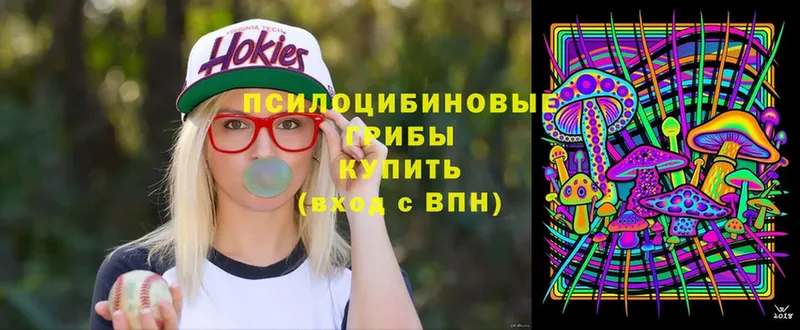 наркотики  Сыктывкар  Псилоцибиновые грибы мухоморы 